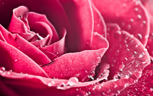 1015635 (a): :2880x1800
